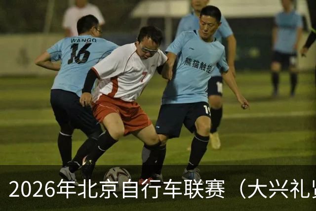 2026年北京自行车联赛（大兴礼贤赛段）暨礼贤镇第二届自行车赛圆满落幕-国际在线